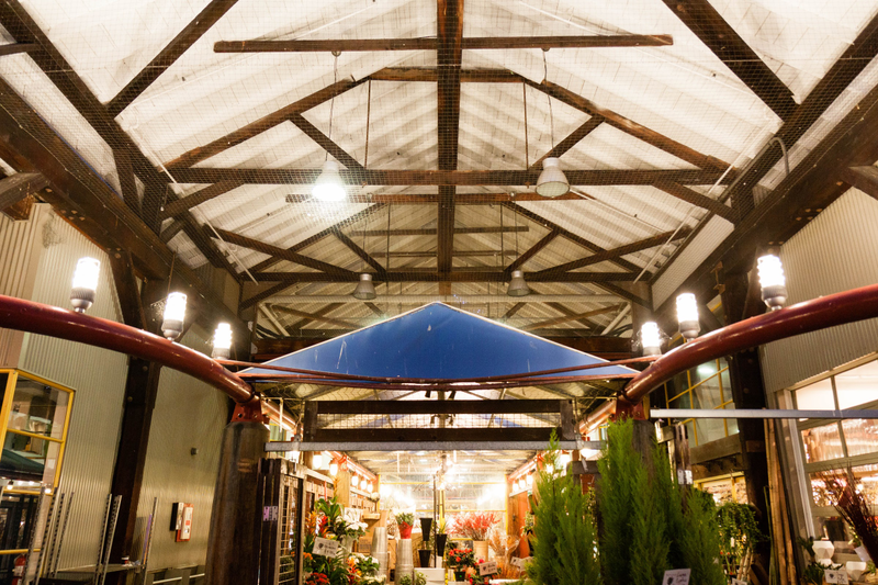 Illustration for article titled Pics from the Curbside: November 2016 at Granville Island